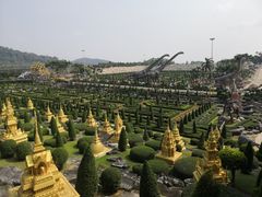 -东芭乐园