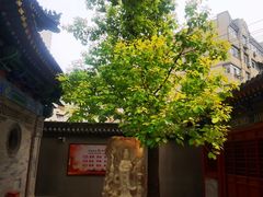 -罔极寺