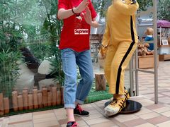 -济州岛泰迪熊博物馆