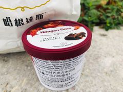 比利时巧克力冰淇淋-哈根达斯(陆家浜路店)