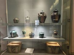 -胡志明市美术馆