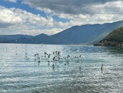 -小红帽摄影(丽江店)