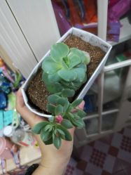 -金色童年儿童摄影(和平家园小区店)