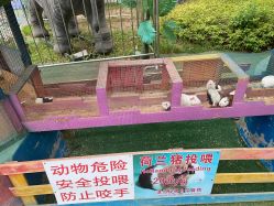 -萌宠亲子动物乐园(槐房万达店)