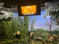 -陕西自然博物馆