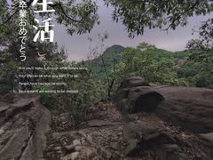 -南山植物园