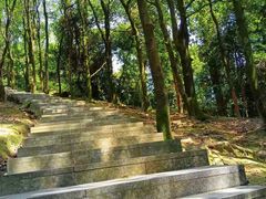 -火炉山森林公园