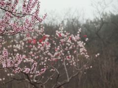 -棒棰岛宾馆景区