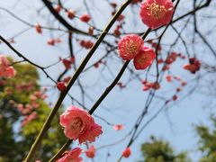 -白塘生态植物园