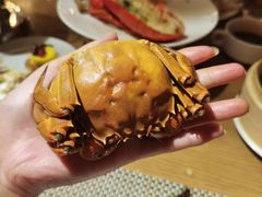 大闸蟹-都会尚膳·海鲜自助餐厅(重庆万豪酒店)