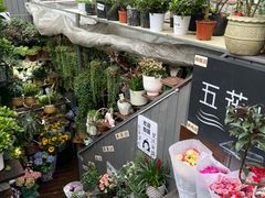-白沙古井