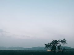 -上海市保健医疗中心(华东疗养院)