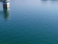 -仙海旅游度假区