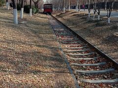 -永定河休闲森林公园