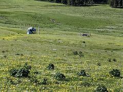 -新疆那拉提国家旅游度假区