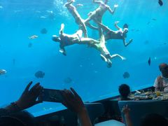 -瑞德姆美人鱼海底演艺主题餐厅(亚龙湾店)