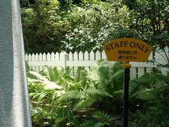 -三鹰之森吉卜力美术馆