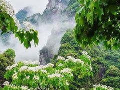 -温州永嘉书院