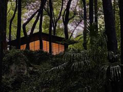 -中国茶叶博物馆(双峰馆区)