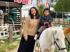 -田园东方蜜桃村的田野营地