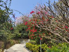 -小南山公园