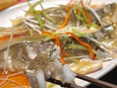 -前海沿·青岛菜(大拇指广场石老人店)