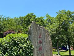 -岳阳楼景区