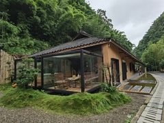 -芦沟竹海