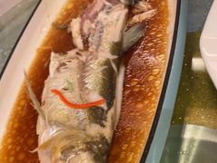 -全聚德(上海首店浦东店)