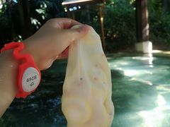 -厦门日月谷温泉渡假村