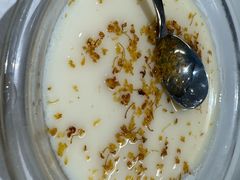 桂花豆花-欧记大排档·景德菜(上海首店)