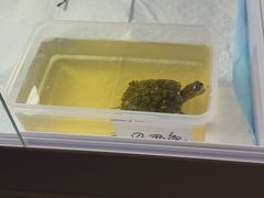-雨林宠物医院 非犬猫异宠专科