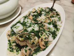 -蝶园·装修中(BFC外滩金融中心店)