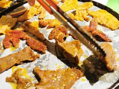 -胖记烤肉(湖大店)