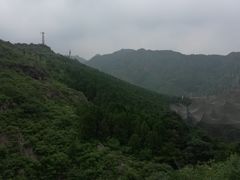 -燕塞湖鸟语林景区