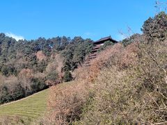 -敬亭山风景名胜区