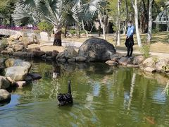 -惠州金海湾嘉华度假酒店