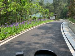 -黄陂区野村谷景区