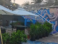 -瑞德姆美人鱼海底演艺主题餐厅(亚龙湾店)