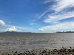 -宝安西湾红树林湿地公园