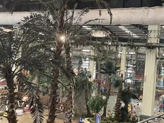 -南宫温泉水世界
