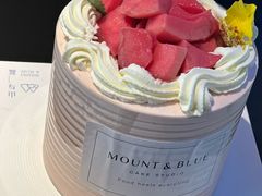 -山与蓝·轻糖鲜果蛋糕(勒泰店)