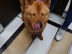 -Wagas沃歌斯(太古汇店)