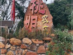 -桃姐农庄老字号(从化温泉店)