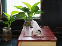 -二楼南书房