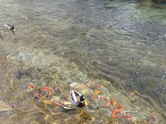 -水磨沟公园