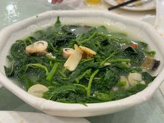 -姚林轩