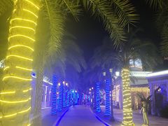 -三亚海昌梦幻海洋不夜城