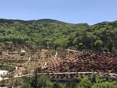 -石岛赤山风景区
