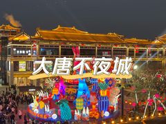 -大唐不夜城